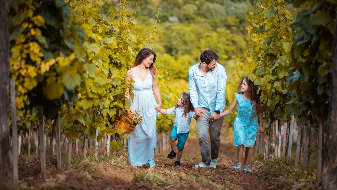 How To Plan A Family Trip To Wine Country