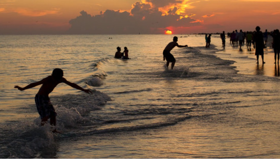 Sarasota beaches water activities