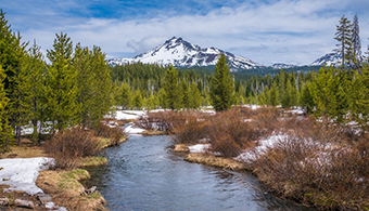 Bozeman