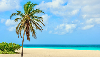 Palm Beach