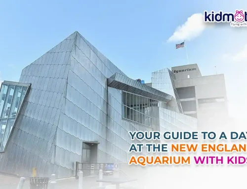 Your Guide to A Day At the New England Aquarium with Kids